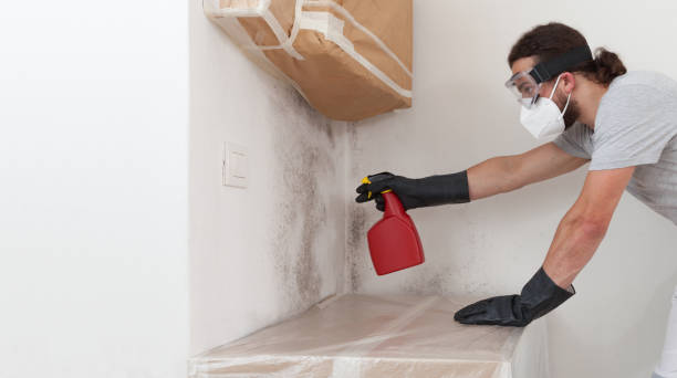 Professional Mold Cleanup technician working in Mine Hill, NJ