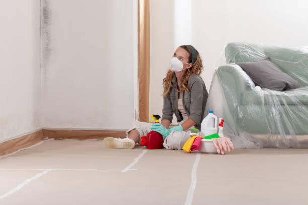 Reliable Mold Cleanup contractor in Mine Hill, NJ by WQB Mold Removal